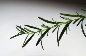 PERCHE’ CONVIENE COLTIVARE LE PROPRIE ERBE AROMATICHE PERCHE’ CONVIENE COLTIVARE LE PROPRIE ERBE AROMATICHE