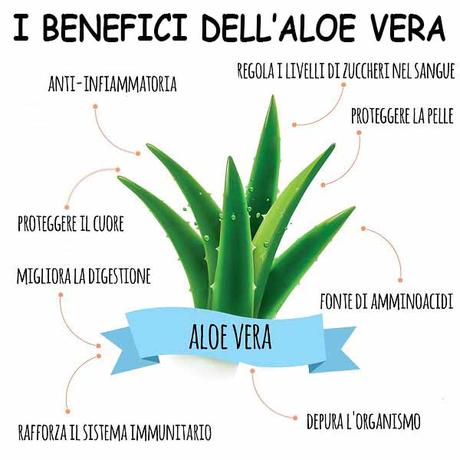 Shampoo Aloe Vera: Benefici per cute e capelli Shampoo Aloe Vera: Benefici per cute e capelli