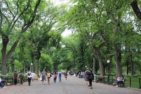 NEW YORK: COSA VEDERE IN TRE GIORNI cosa vedere a new york in tre giorni