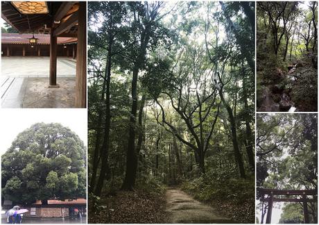 5 giorni a Tokyo 5 giorni a Tokyo