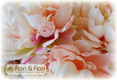 fiori e fiori fioristi finti fiori e fiori fioristi finti