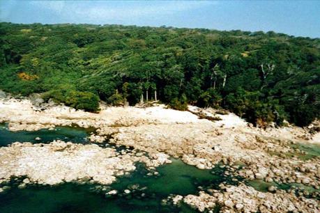 I Sentinelesi, uno degli ultimi popoli incontattati North Sentinel è totalmente ricoperta da foresta pluviale