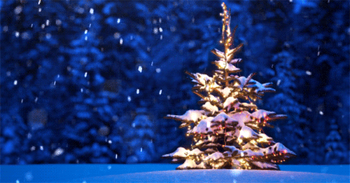 Cosa leggere a Natale: lista semiseria di letture a tema Cosa leggere a Natale: lista semiseria di letture a tema