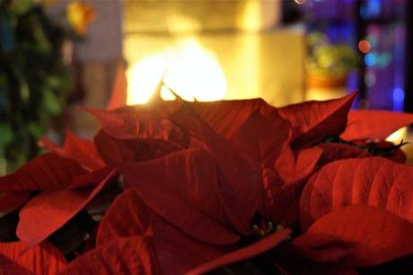 THE CHRISTMAS CAROL – LA NOTTE DI NATALE THE CHRISTMAS CAROL – LA NOTTE DI NATALE