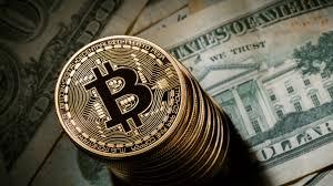 Il valore dei Bitcoin è crollato sotto i 13 mila dollari Il valore dei Bitcoin è crollato sotto i 13 mila dollari