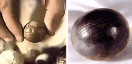 Cosa sono le misteriose sfere aliene lasciate agli addotti? Cosa sono le misteriose sfere aliene lasciate agli addotti?