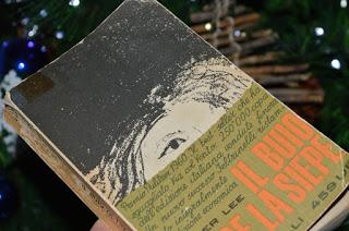 Il buio oltre la siepe (H. Lee) Il buio oltre la siepe (H. Lee)