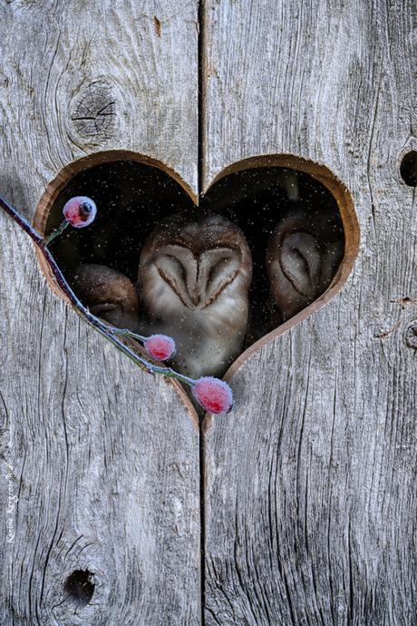 fancitaste: colorel11: found on google Precious! fancitaste: colorel11: found on google Precious!