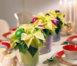 Stelle di Natale: decora tavola natalizia stelle di natale 1
