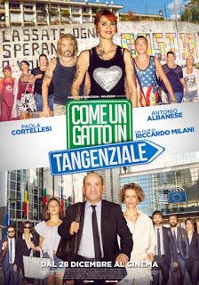Come un Gatto in tangenziale il nuovo film della Vision Distribution Come un Gatto in tangenziale il nuovo film della Vision Distribution
