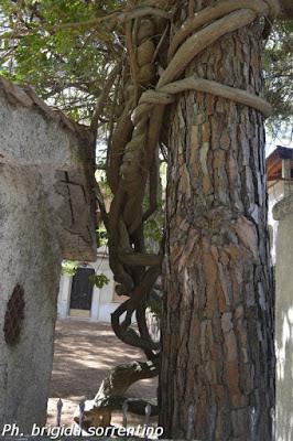 Positano my life: ricordando il 2017 Positano my life: ricordando il 2017