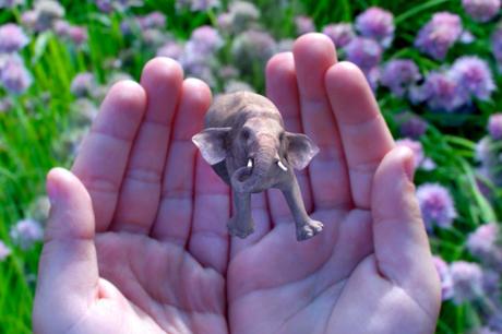 Magic Leap: fuffa o figata? Magic Leap: fuffa o figata?