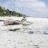 Le maree a Zanzibar: guida alla scelta della costa migliore Le maree a Zanzibar: guida alla scelta della costa migliore