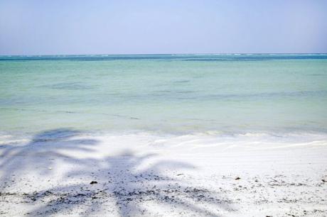 Le maree a Zanzibar: guida alla scelta della costa migliore Le maree a Zanzibar: guida alla scelta della costa migliore