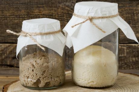 Come preparare il panettone vegano: la nostra ricetta lievito madre panettone
