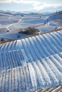 Tra vigneti e castelli: la magia delle Langhe Tra vigneti e castelli: la magia delle Langhe