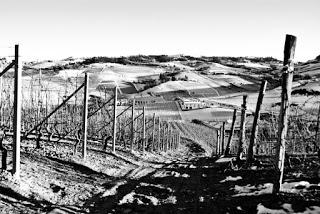 Tra vigneti e castelli: la magia delle Langhe Tra vigneti e castelli: la magia delle Langhe