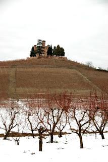 Tra vigneti e castelli: la magia delle Langhe Tra vigneti e castelli: la magia delle Langhe