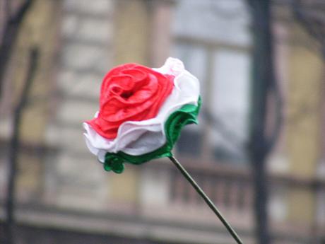 Sana e robusta Costituzione. Milano 13 febbraio 2011