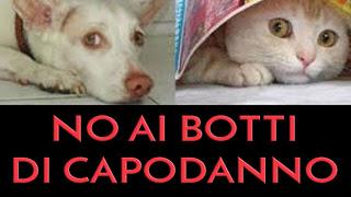 GIUSSAGO (pv). Botti liberi a Giussago: nessuna ordinanza li ha vietati finora. GIUSSAGO (pv). Botti liberi a Giussago: nessuna ordinanza li ha vietati finora.