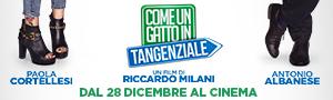 Come un gatto in tangenziale, tra risate e temi sociali con Albanese e Cortellesi come un gatto in tangenziale banner