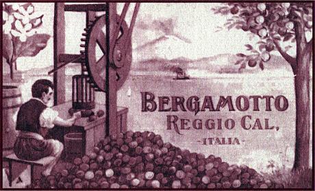 Per amore del bergamotto. Per amore del bergamotto.