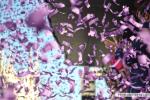 Le foto più belle della stagione 2017 Le foto più belle della stagione 2017