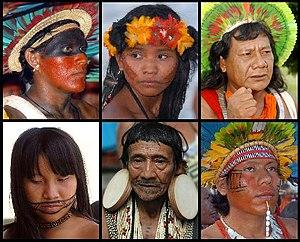 Note brasiliane/Denuncia del Cimi :governo è alleato dei nemici dei popoli indigeni Risultati immagini per roberto antonio liebgott