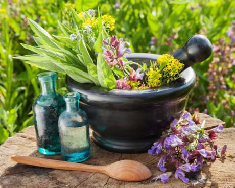 La Natura al Servizio dell’Uomo La Natura al Servizio dell’Uomo