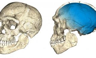L’origine più antica dell’Homo sapiens: trovati resti di 300mila anni fa L’origine più antica dell’Homo sapiens: trovati resti di 300mila anni fa