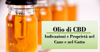 L'OLIO CBD :PROPRIETA' E INDICAZIONI NEL CANE E NEL GATTO L'OLIO CBD :PROPRIETA' E INDICAZIONI NEL CANE E NEL GATTO
