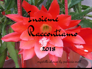 INSIEME RACCONTIAMO INSIEME RACCONTIAMO