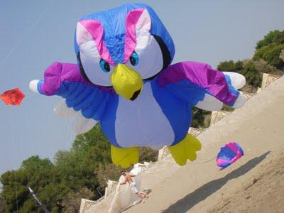 Aquiloni sulla spiaggia.