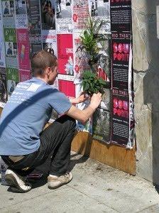 Poster Pocket Plants