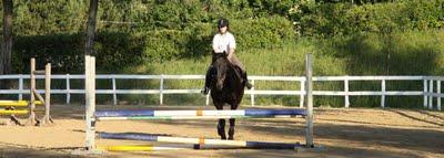 saltando ostacoli in sella ad un cavallo