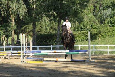 saltando ostacoli in sella ad un cavallo