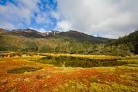 L'Enel allunga mani di devastazione sulla Patagonia