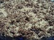 crumble crumble........