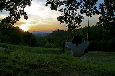 aspettando la notte che scende