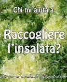 Esercizi di stile e un pratino vivace nel piatto: l'insalatina coreografica