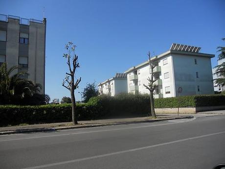 Capitozzature selvagge in Via Aldo Moro