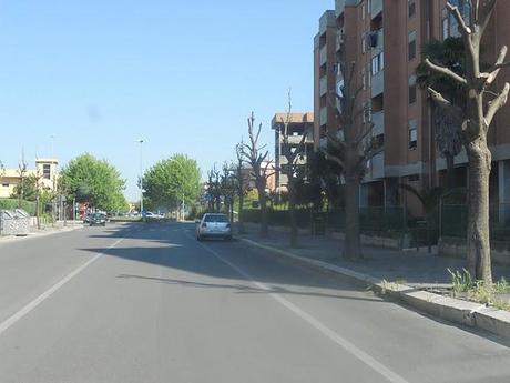 Capitozzature selvagge in Via Aldo Moro