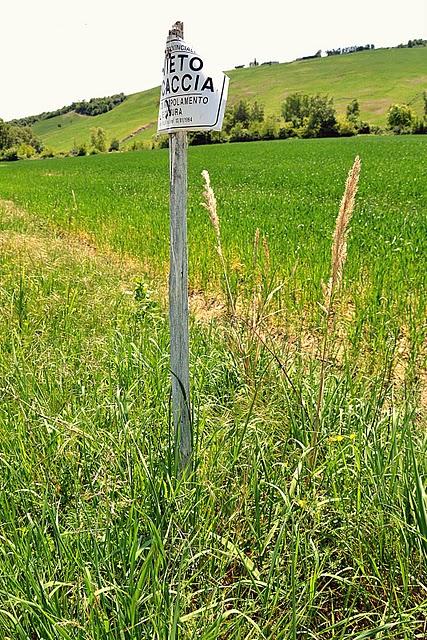 Di passeggiate, foto, bicchierini e comunicazioni...