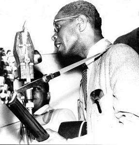 I Grandi del Blues: 39 - Elmore James