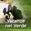 VacanzaVerde: una vacanza in agriturismo