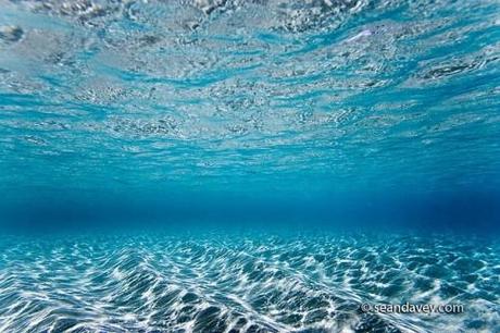 Vista subacquea di Waimea Bay sulla costa nord di Oahu, Hawaii