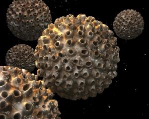 HPV: vacciniamo anche i maschi?