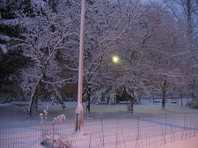 La prima neve (The first snow!)