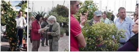 cronaca di una mostra di giardinaggio