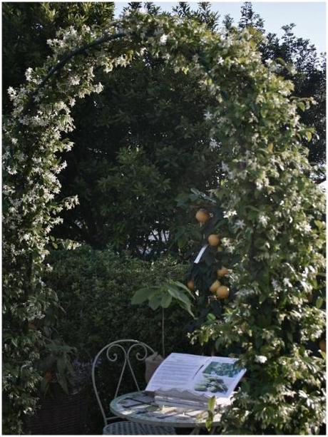 cronaca di una mostra di giardinaggio